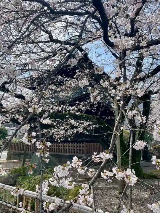 吉祥寺の{uncategorized: "未分類", other: "その他", undefined: "問題あり", building: "その他建物", grave: "お墓", sacred_gate: "鳥居", guardian: "狛犬", statue: "像", buddha: "仏像", history: "歴史", nature: "自然", garden: "庭園", animal: "動物", pagoda: "塔", temizu: "手水舎", mountain_gate: "山門・神門", sanctuary: "本殿・本堂", subordinate: "末社・摂社", art: "芸術", scenery: "景色", jizo: "地蔵", ema: "絵馬", goshuin: "御朱印", omikuji: "おみくじ", items: "授与品その他", amulet: "お守り", goshuincho: "御朱印帳", eats: "食事", festival: "お祭り", votive_dance: "神楽", shichigosan: "七五三参", wedding: "結婚式", experience: "体験その他", initially: "初詣", around: "周辺", anti_infection: "感染症対策"}