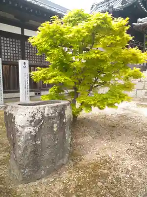 柏島神社の手水舎
