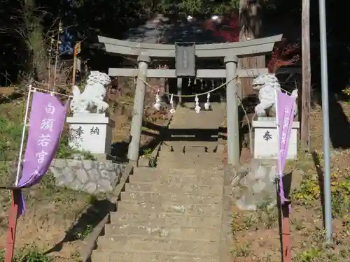 若宮八幡神社の鳥居