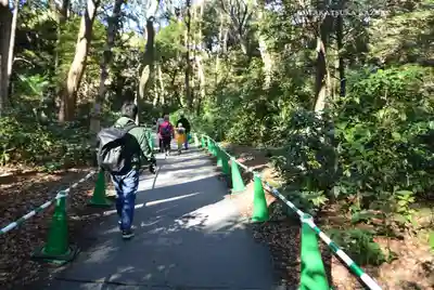 明治神宮(東京都)