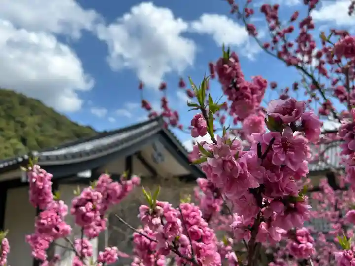 長谷寺(奈良県)