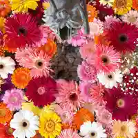 札幌諏訪神社の手水舎