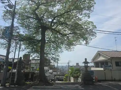 枚岡神社(大阪府)