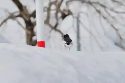竹之高地不動社(新潟県)