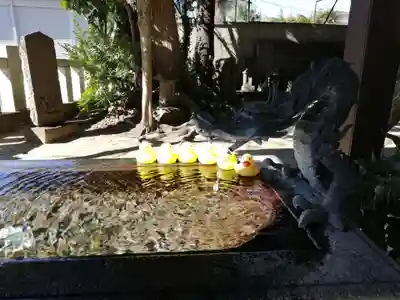 柏諏訪神社の手水舎