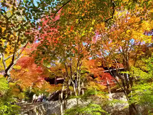 播州清水寺の自然