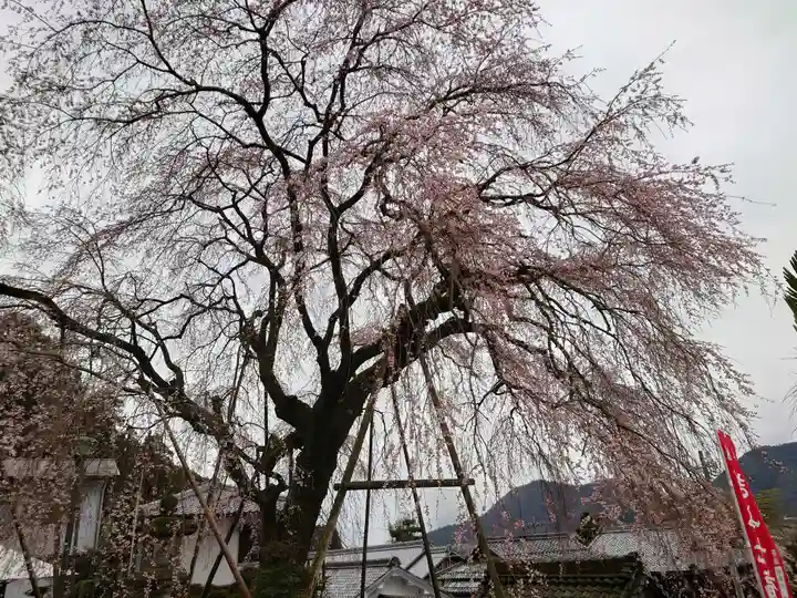 林陽寺(岐阜県)