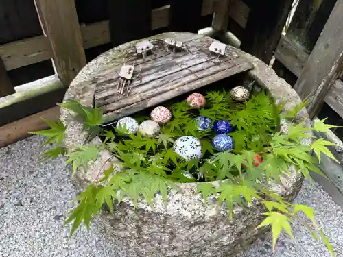 正寿院の{uncategorized: "未分類", other: "その他", undefined: "問題あり", building: "その他建物", grave: "お墓", sacred_gate: "鳥居", guardian: "狛犬", statue: "像", buddha: "仏像", history: "歴史", nature: "自然", garden: "庭園", animal: "動物", pagoda: "塔", temizu: "手水舎", mountain_gate: "山門・神門", sanctuary: "本殿・本堂", subordinate: "末社・摂社", art: "芸術", scenery: "景色", jizo: "地蔵", ema: "絵馬", goshuin: "御朱印", omikuji: "おみくじ", items: "授与品その他", amulet: "お守り", goshuincho: "御朱印帳", eats: "食事", festival: "お祭り", votive_dance: "神楽", shichigosan: "七五三参", wedding: "結婚式", experience: "体験その他", initially: "初詣", around: "周辺", anti_infection: "感染症対策"}