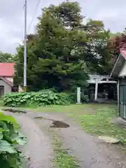 菜洗神社の鳥居