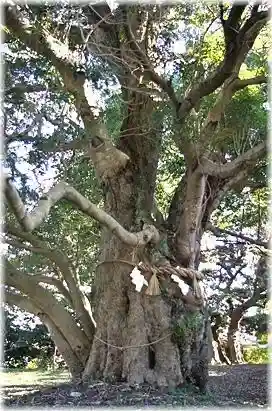 天御子神社の庭園