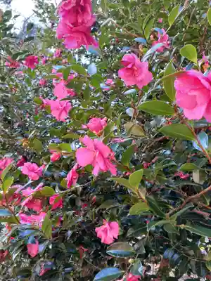 尾崎神社(岩手県)