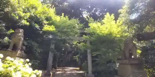 赤坂氷川神社(東京都)