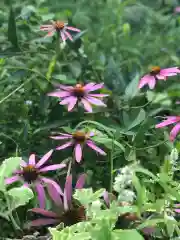 木舟山　順教寺の庭園