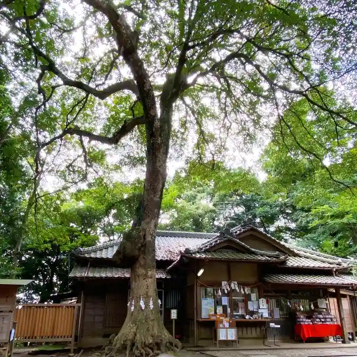 氷川女體神社のその他建物