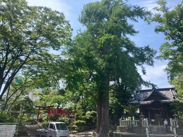 亀岡八幡宮(亀岡八幡神社)(神奈川県)
