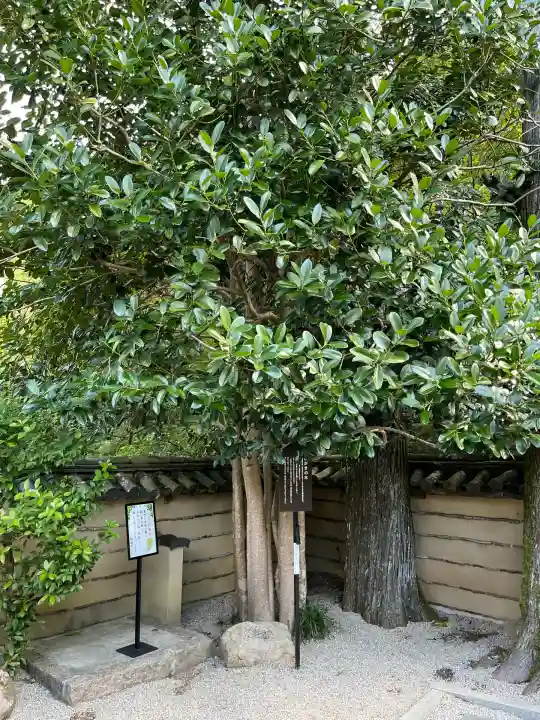 法起院(奈良県)