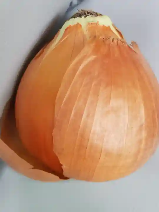 日限地蔵尊 観音院(群馬県)