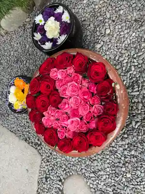 菅生神社の手水舎