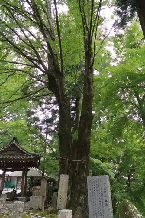 正法寺(滋賀県)