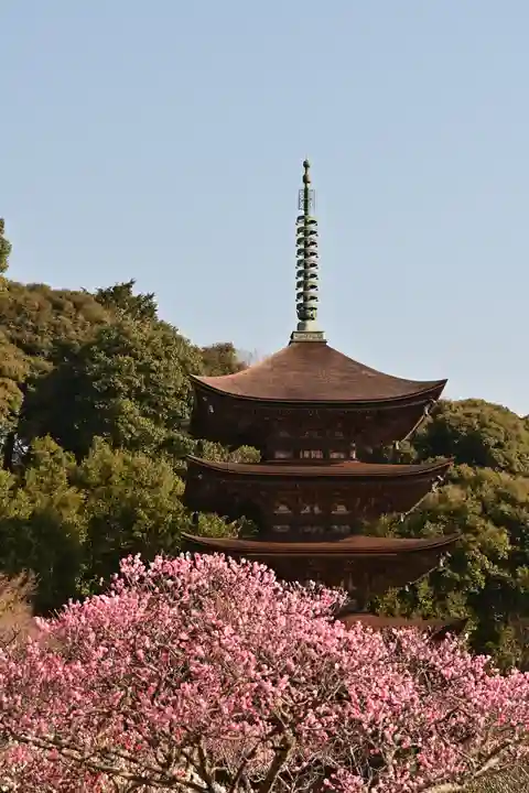 瑠璃光寺(山口県)