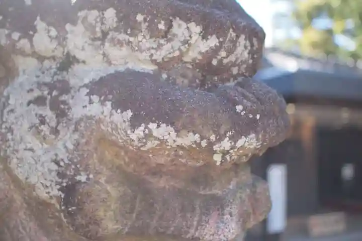狭山八幡神社の自然
