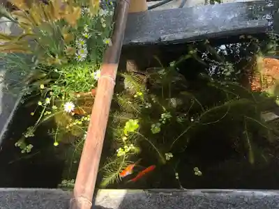 高司神社〜むすびの神の鎮まる社〜(福島県)