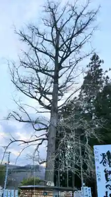 秋保神社の周辺