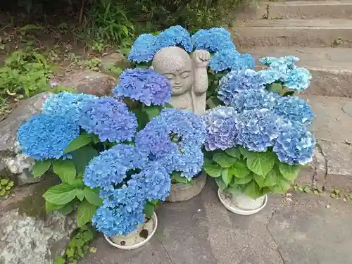 岡寺（龍蓋寺）(奈良県)