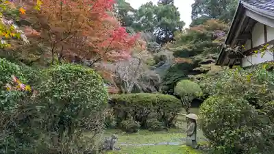 金蔵寺(京都府)