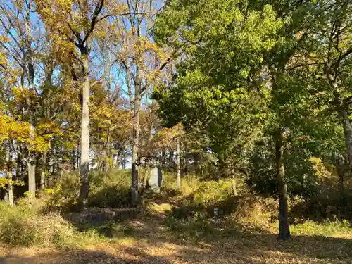 甲斐総社八幡神社の自然