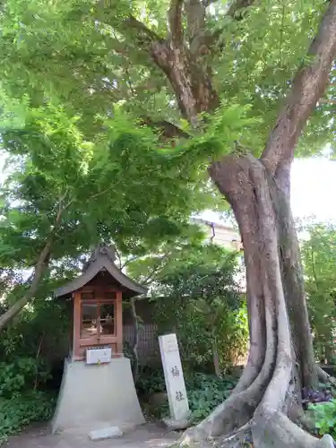 式内楯原神社(大阪府)