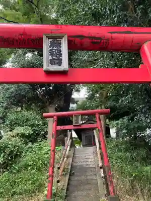 藤稲荷大明神の鳥居