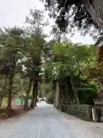 安志加茂神社の{uncategorized: "未分類", other: "その他", undefined: "問題あり", building: "その他建物", grave: "お墓", sacred_gate: "鳥居", guardian: "狛犬", statue: "像", buddha: "仏像", history: "歴史", nature: "自然", garden: "庭園", animal: "動物", pagoda: "塔", temizu: "手水舎", mountain_gate: "山門・神門", sanctuary: "本殿・本堂", subordinate: "末社・摂社", art: "芸術", scenery: "景色", jizo: "地蔵", ema: "絵馬", goshuin: "御朱印", omikuji: "おみくじ", items: "授与品その他", amulet: "お守り", goshuincho: "御朱印帳", eats: "食事", festival: "お祭り", votive_dance: "神楽", shichigosan: "七五三参", wedding: "結婚式", experience: "体験その他", initially: "初詣", around: "周辺", anti_infection: "感染症対策"}