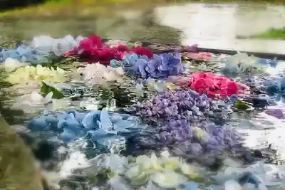 白鳥神社の手水舎