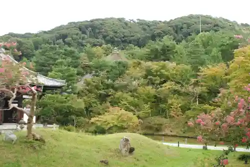 高台寺（高台寿聖禅寺・高臺寺）(京都府)