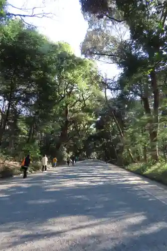 明治神宮(東京都)