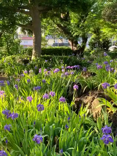 横浜　西方寺の自然