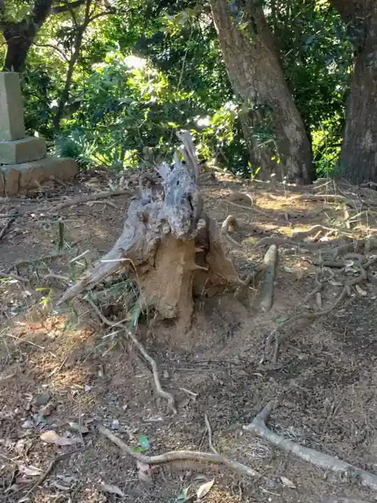 浅間神社(茨城県)