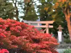 白鳥神社の自然