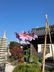 万福寺の自然