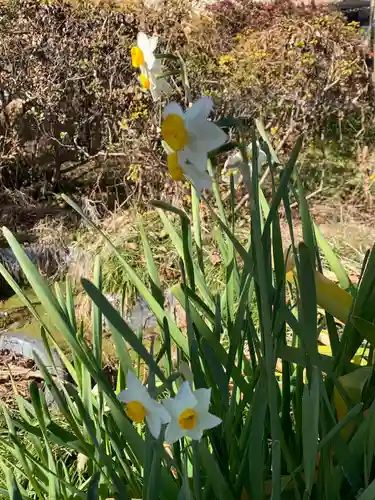 竹生島神社の自然