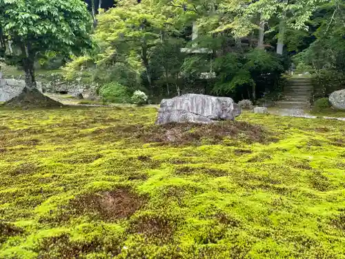 大原寺勝林院の庭園