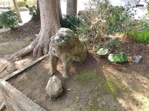 稲荷神社の狛犬