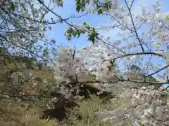 金剛院(京都府)