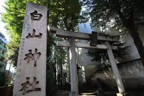 荻窪白山神社の鳥居