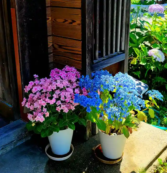 極楽寺(静岡県)