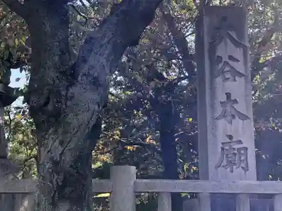 大谷本廟のその他建物