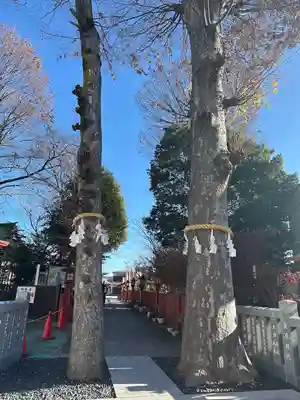 川越八幡宮(埼玉県)