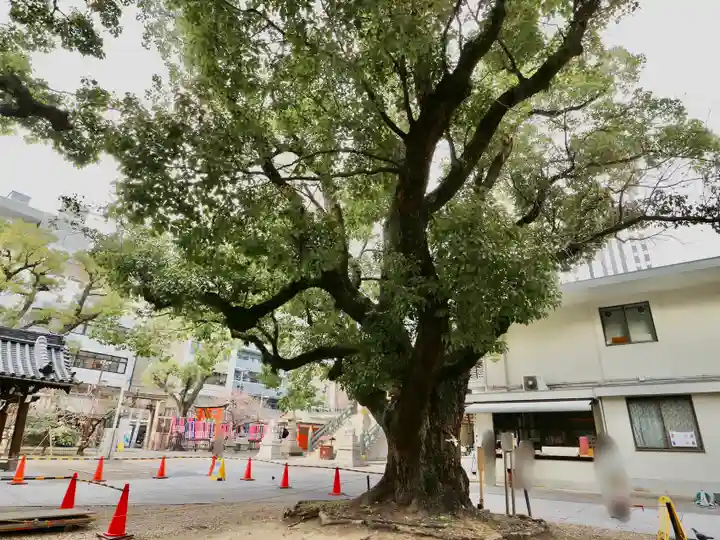 難波神社の芸術