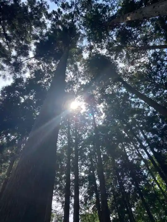 太平山神社(栃木県)